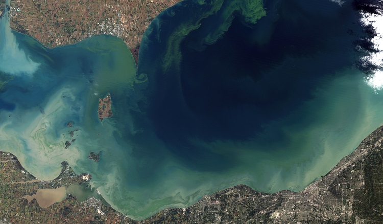 Harmful Algal Bloom Lake Erie 2011