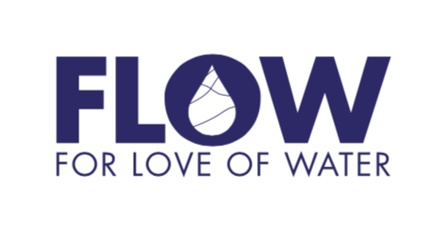 FLOW logo copy